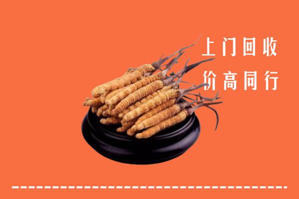 垫江县回收冬虫夏草